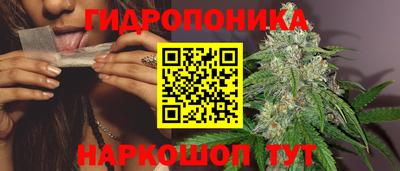 прущие грибы Конаково