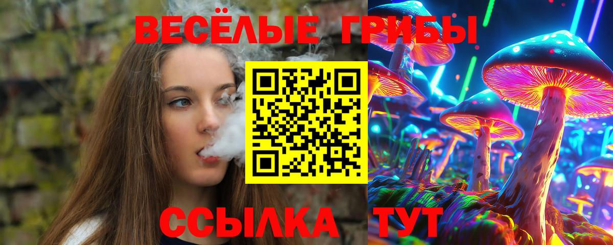 Клинцы  Псилоцибиновые грибы мицелий  Вход с VPN  Псилоцибиновые грибы MAGIC MUSHROOMS 