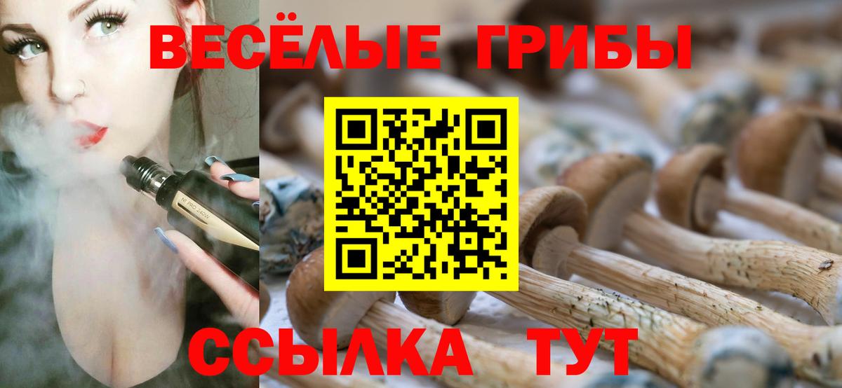 Галлюциногенные грибы Cubensis Клинцы
